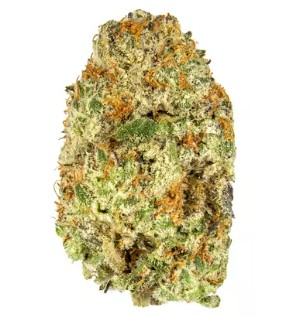 Photograph of product: Medizin | Oreoz 7g