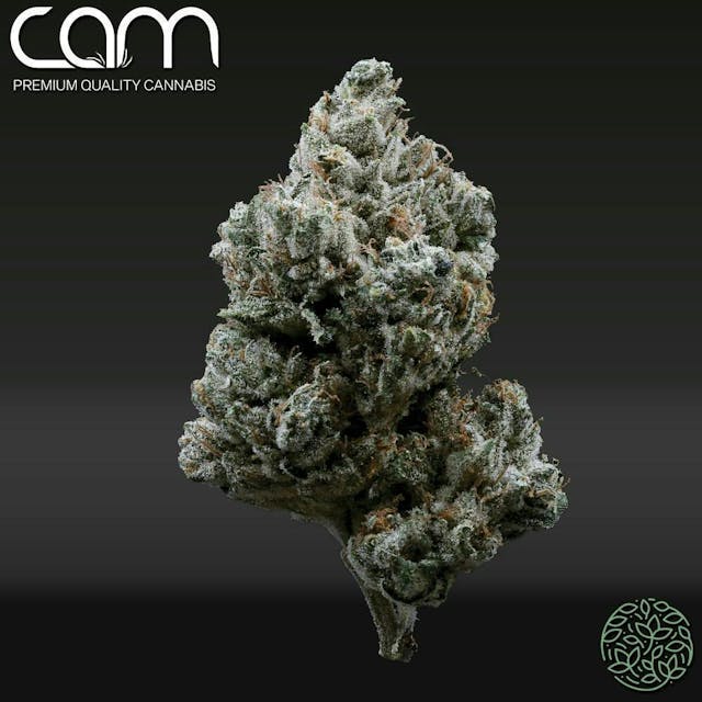 Photograph of product: HA OG (Hell's OG) | 14g - 