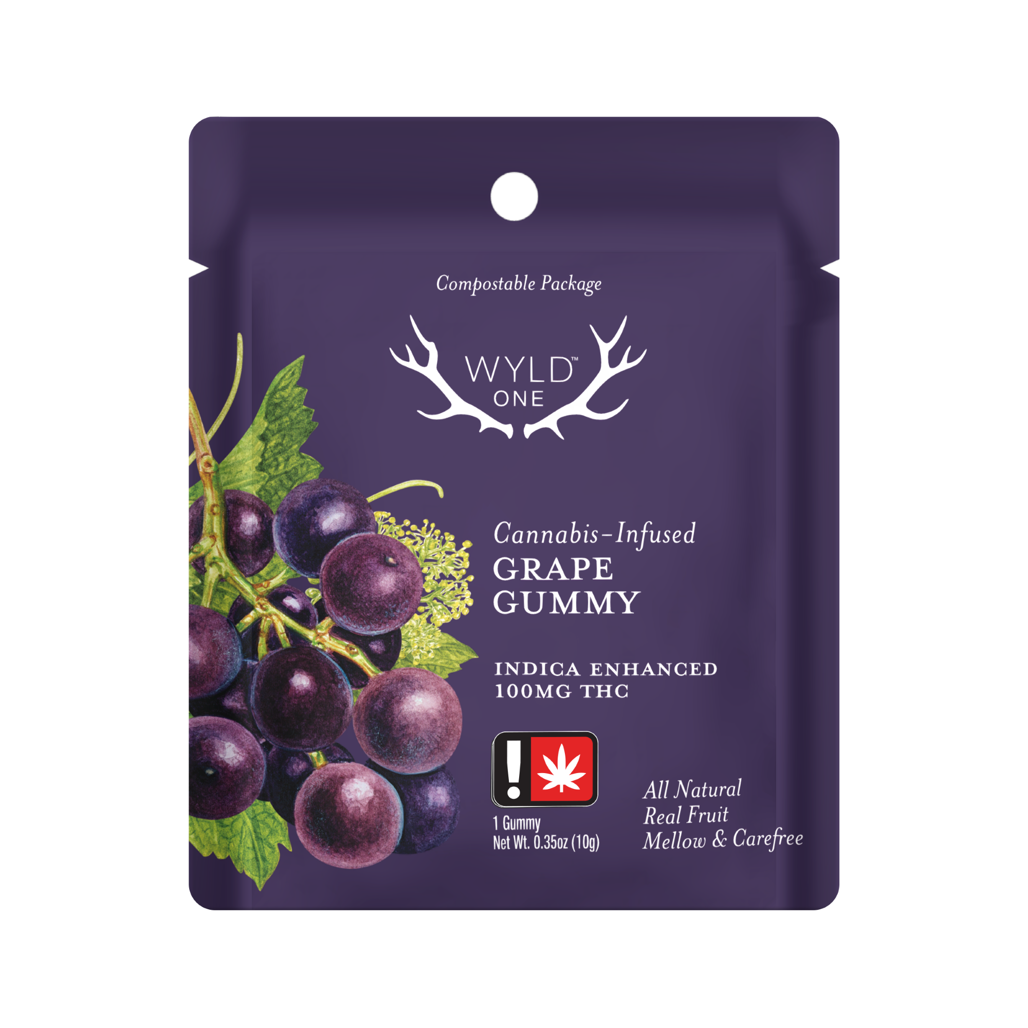 Photograph of product: WyldOnes | Grape | Single