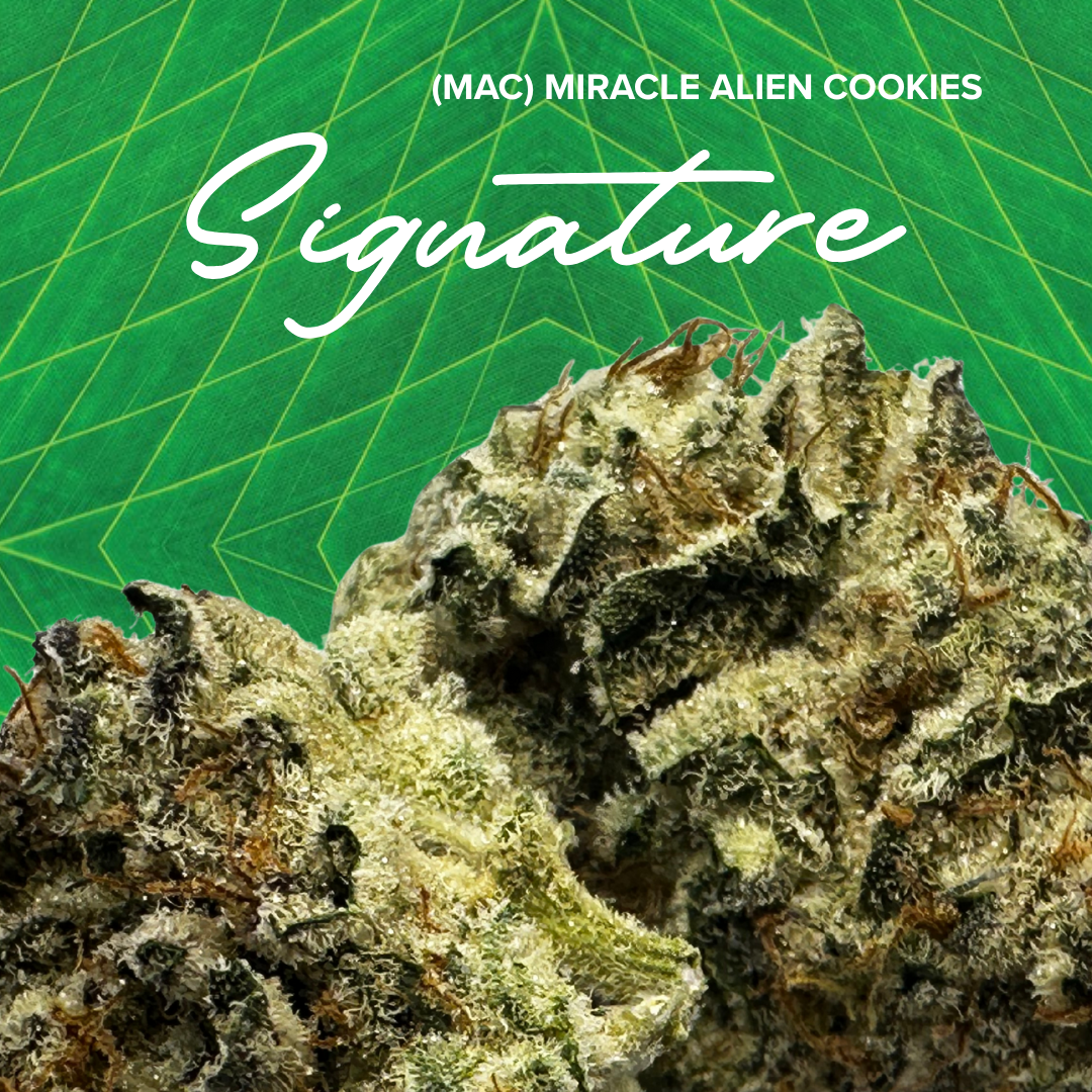 Photograph of product: Signature | MAC (Miracle Alien Cookies) |  3.5g