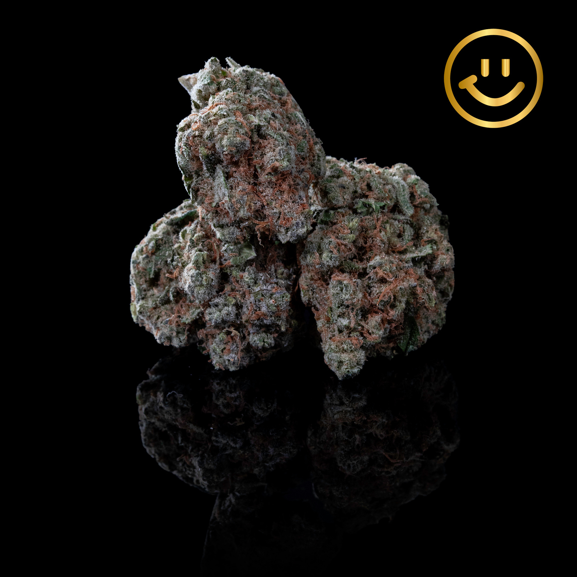 Photograph of product: Garden First | Lime Dawg | indoor flower