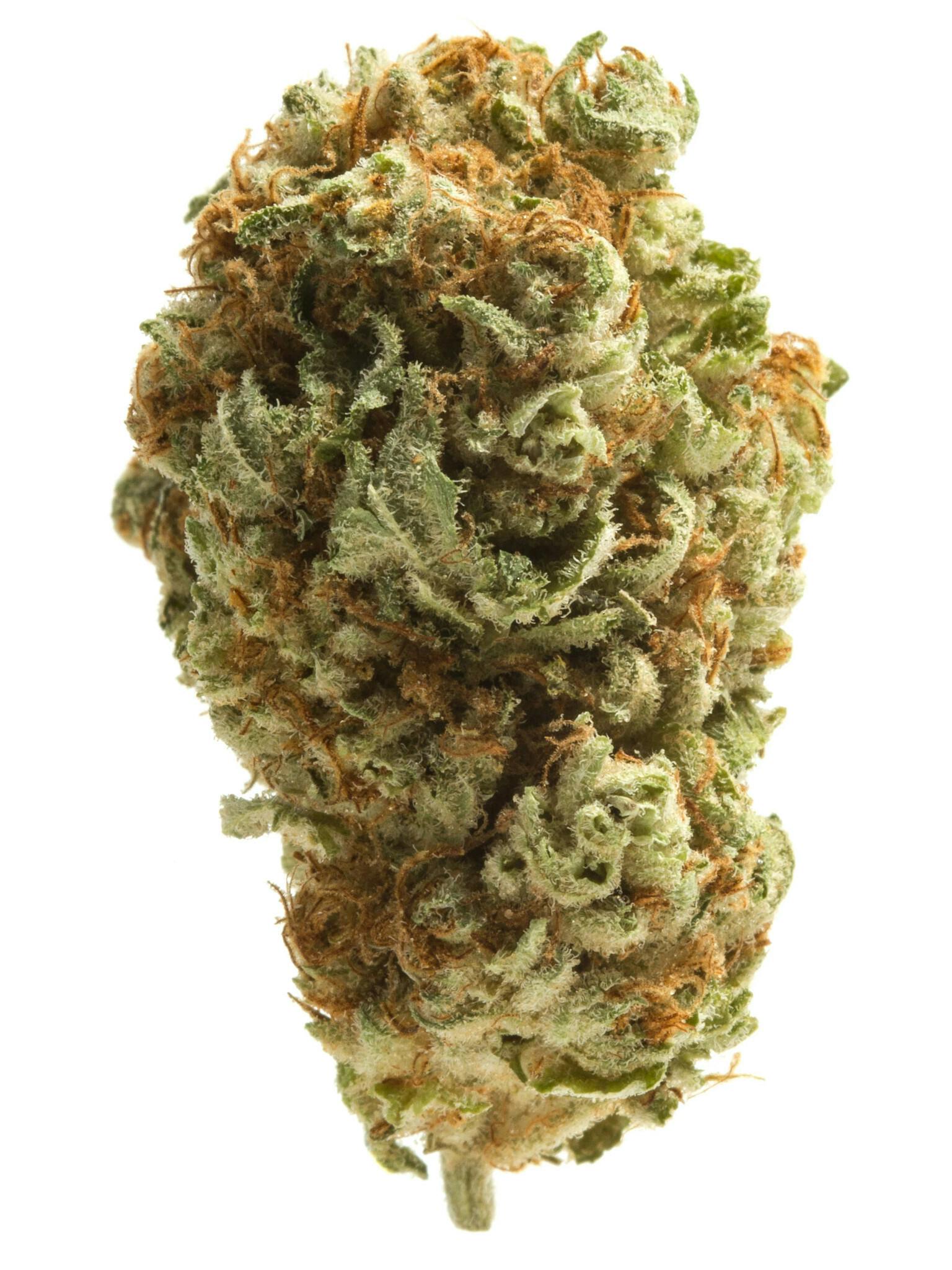 Photograph of product: High Grade | MERLIN'S Nightshade | Flower 27.98% - 28g