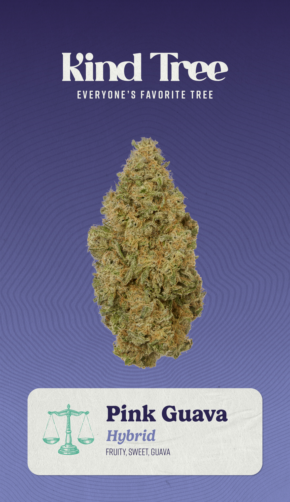 Photograph of product: Pink Guava | Bulk Flower | 14g