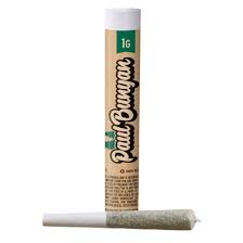 Photograph of product: Paul Bunyan | Pre-Roll | Apple Fritter