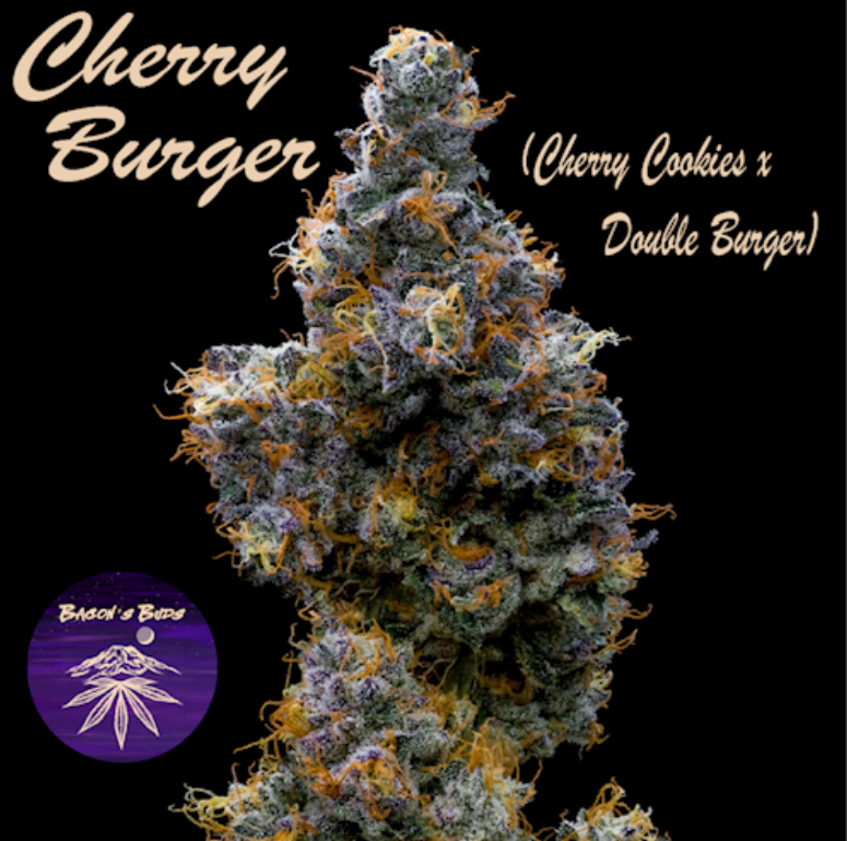 Photograph of product: Bacons Buds - Cherry Burger - Flower - 3.5g
