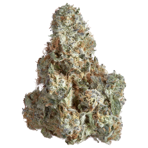 Photograph of product: Goldkine Animal Tree Prepack Rec - 3.5g