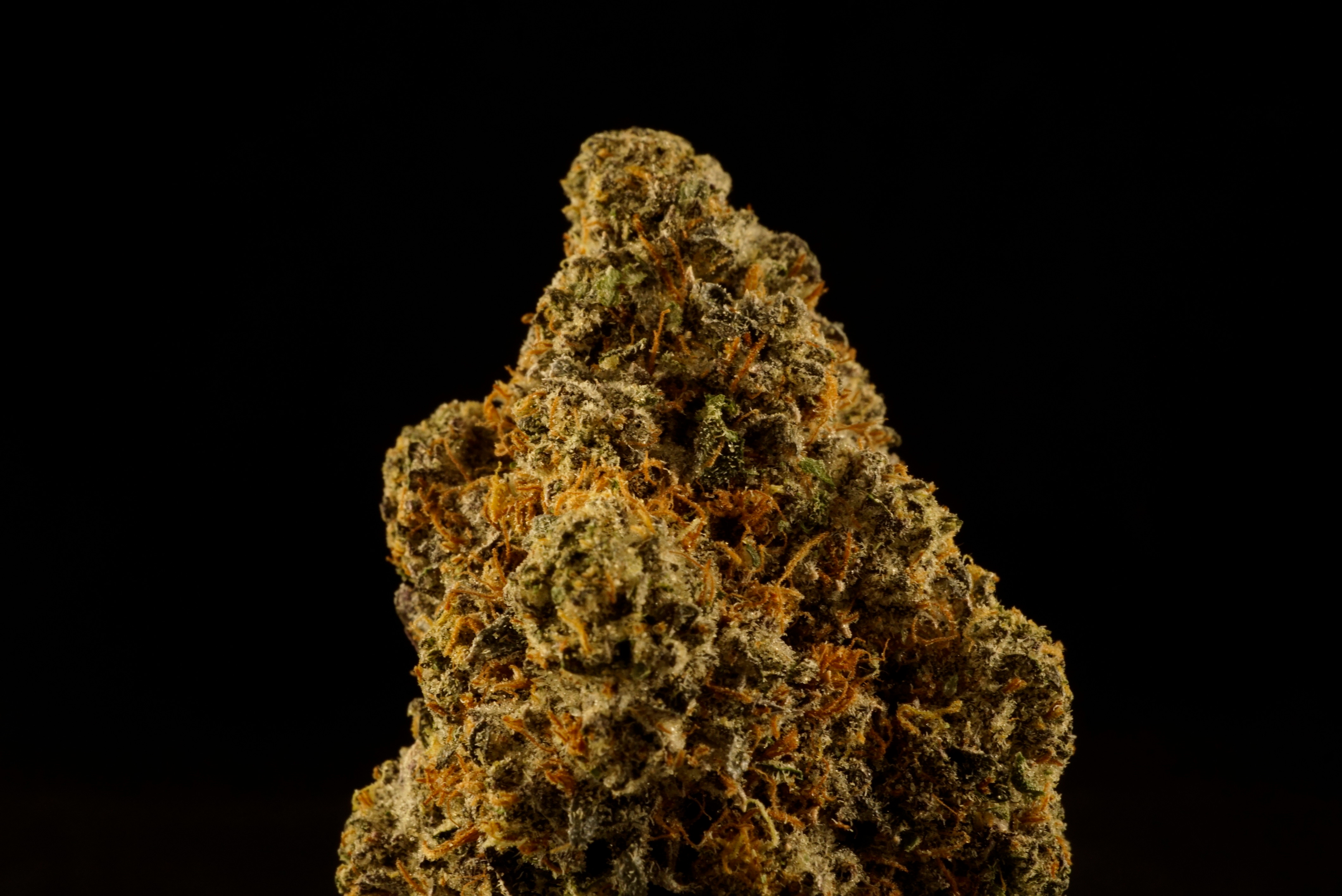 Photograph of product: Italian Soda - 28g