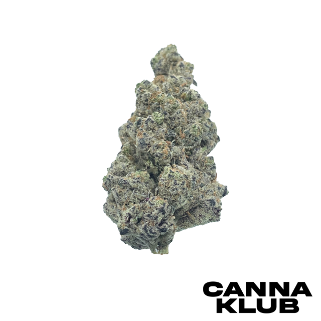 Photograph of product: LEMON CHERRY GELATO X Z ANIMAL 14G *2 FOR 160*