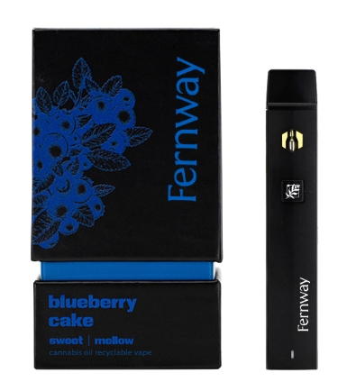 Photograph of product: Fernway - Blueberry Cake - 2g - Disposable Vape