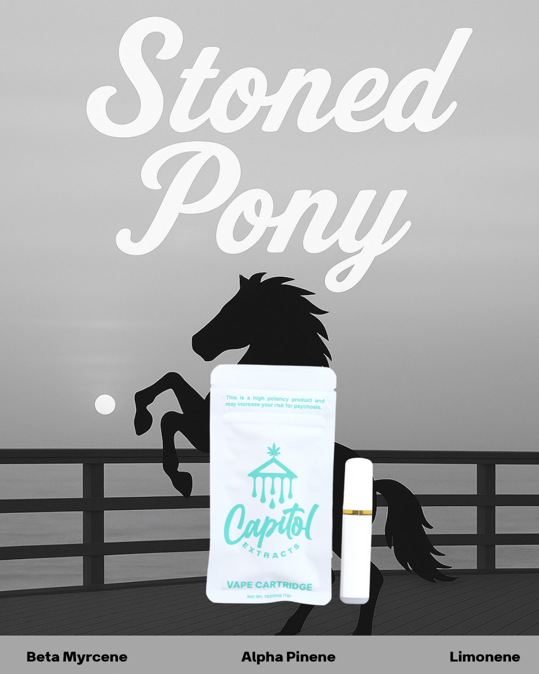 Photograph of product: Stoned Pony - Disposable - 1g