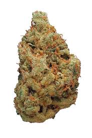 Photograph of product: Lemon OG Haze Popcorn - 3.5g