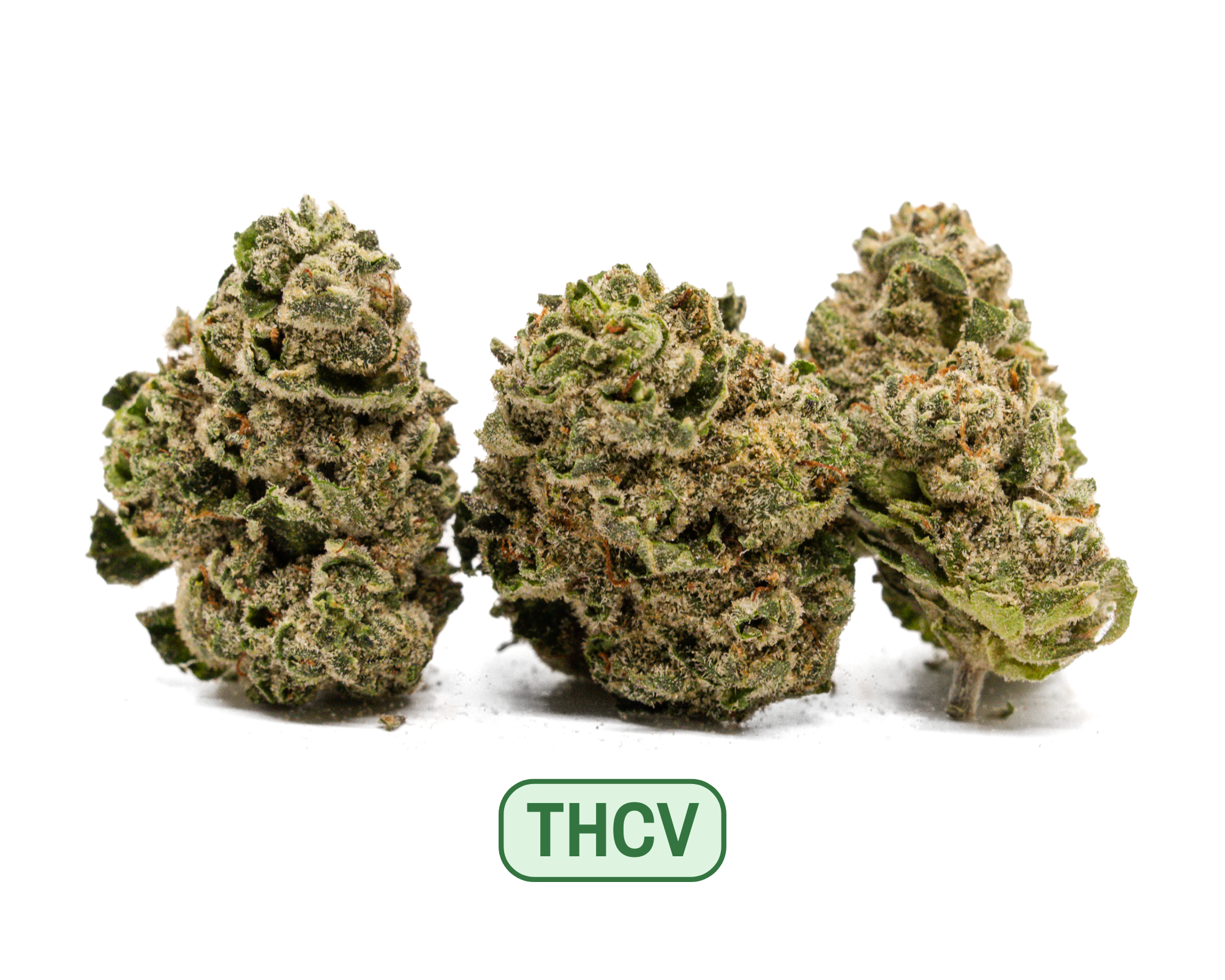 Photograph of product: TH-ouiV Get Sh!t Done - Select Sungrown - 28g