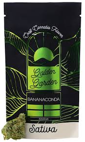 Photograph of product: Golden Garden | Bananaconda | Flower | 3.5G