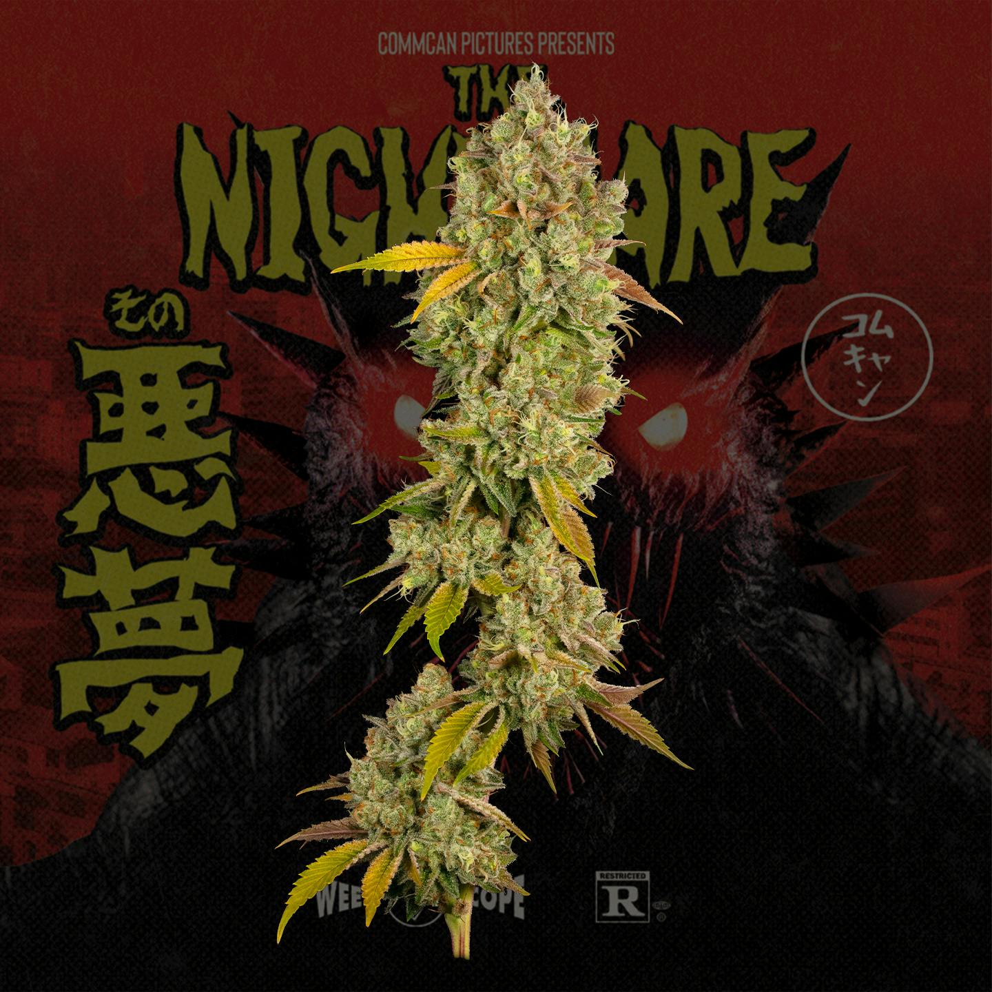 Photograph of product: The Nightmare