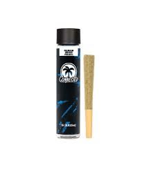 Photograph of product: [Connected] Preroll - 1g - Tropical Z (S/H) - 