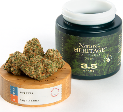 Photograph of product: Buckner | Flower - 7g