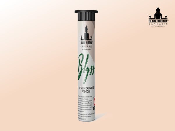 Photograph of product: Blyss Mint Cream Cake | Single