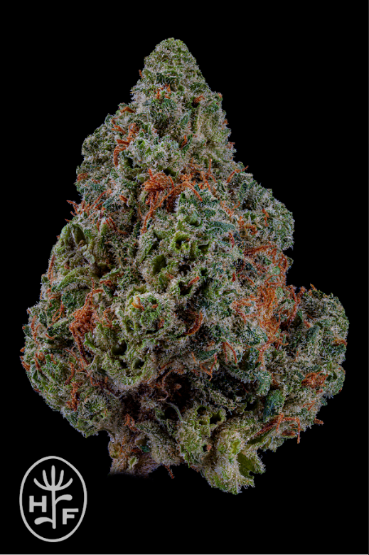 Photograph of product: Hamilton Farms Panama Red 3.5g