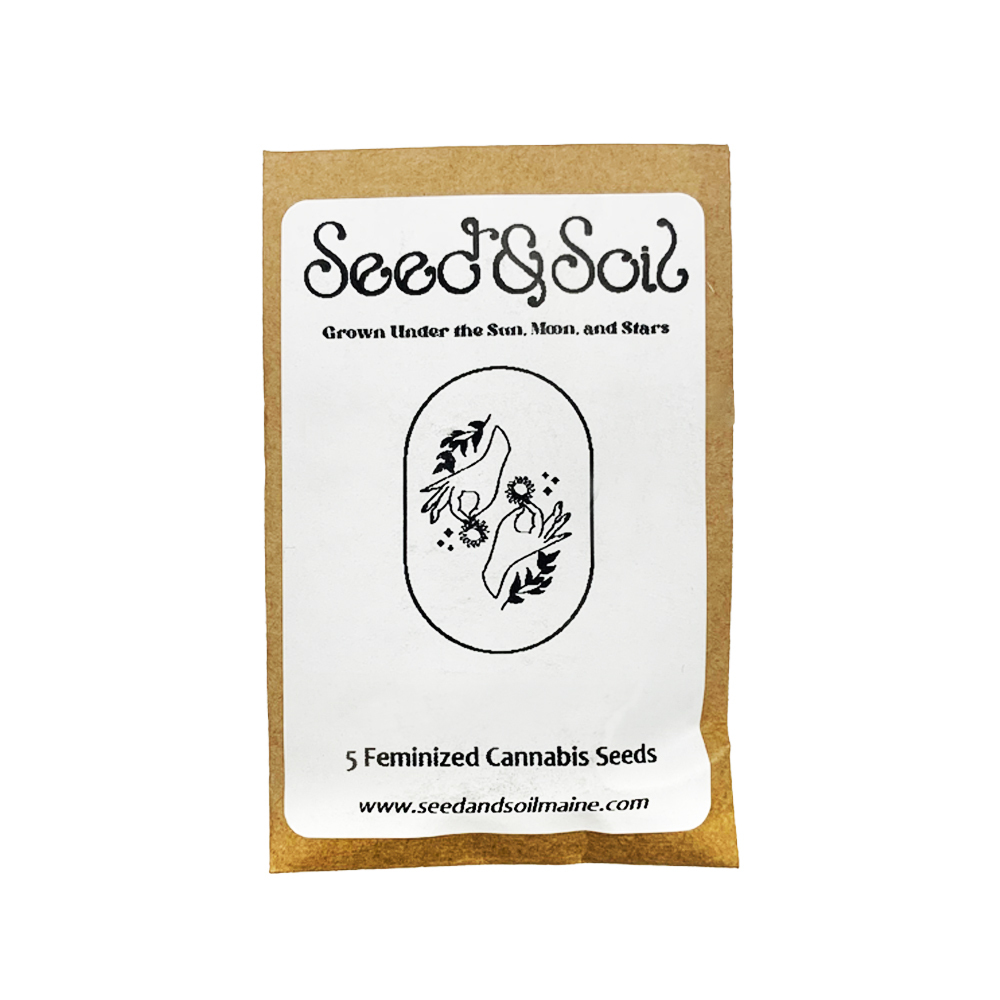 Photograph of product: Seed Package - Dankincense - 5pk