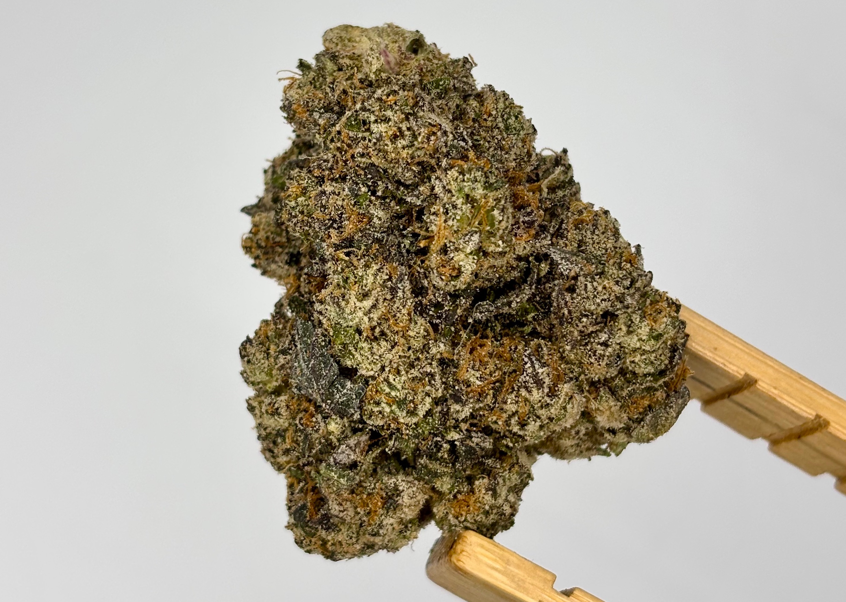 Photograph of product: Elysium | Sherbet Cream Pie | Bulk Flower | Yellow Tier - 28g