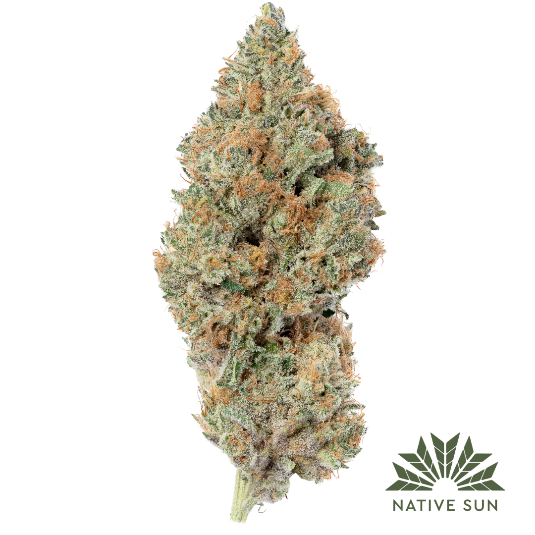 Photograph of product: Don Lemon | Flower | 3.5g