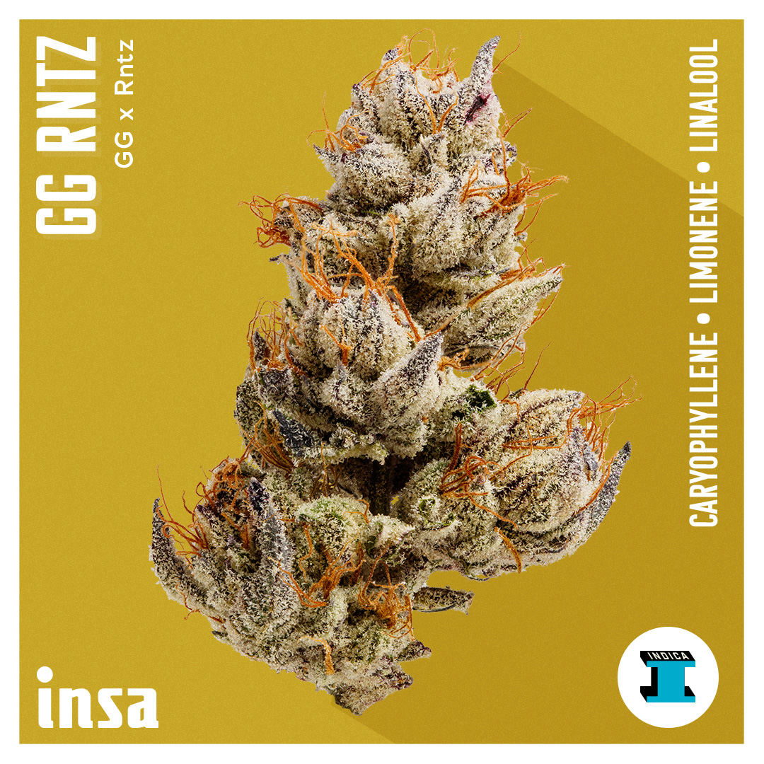 Photograph of product: INSA GG RNTZ Grower's Reserve Flower 3.5g