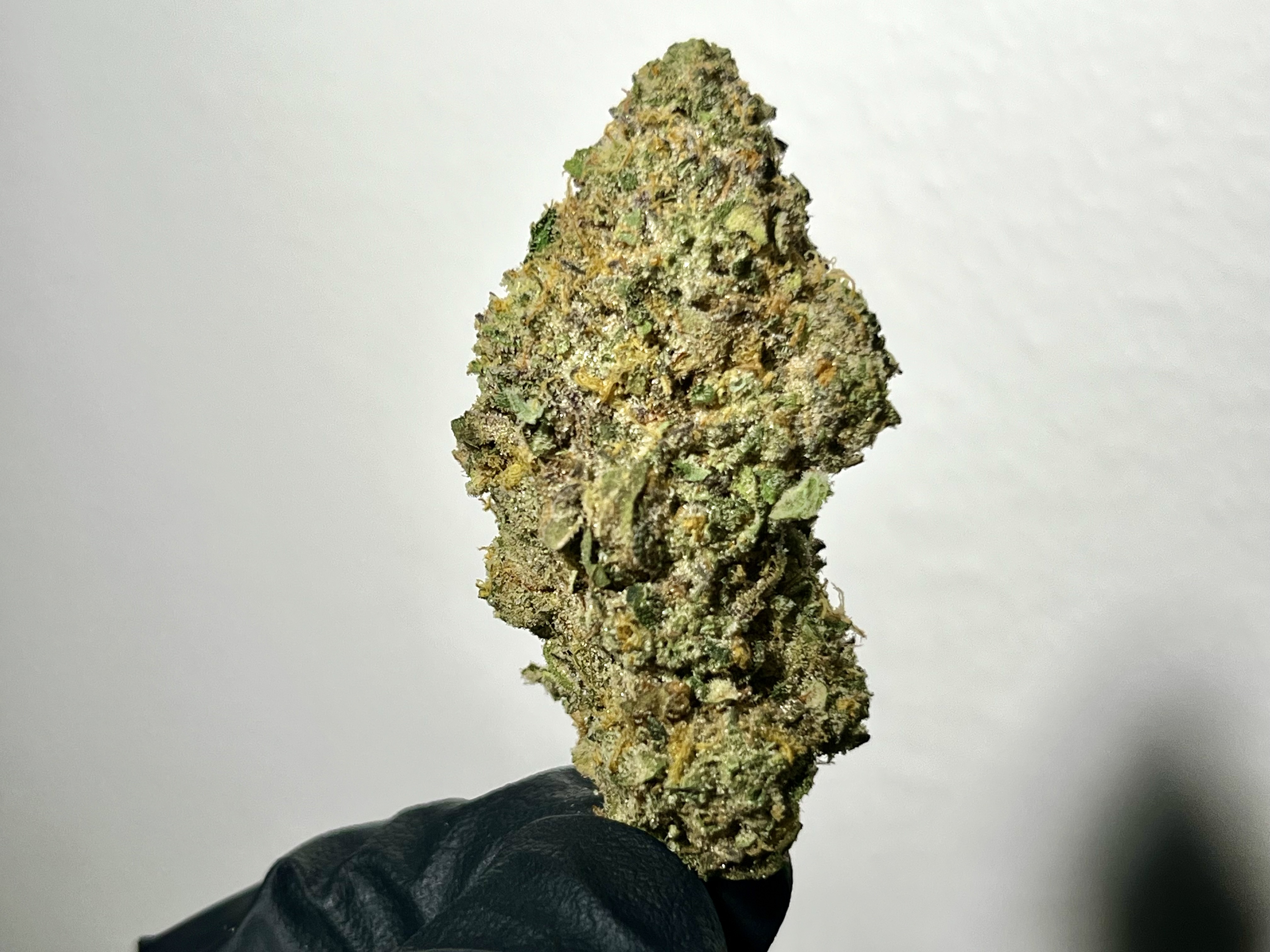 Photograph of product: Pure Bliss Farms - Maple Dunks - Flower - Bulk - 28g