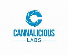 Photograph of product: CANNALICIOUS LABS | WAX | 1G | SNOW WHITE