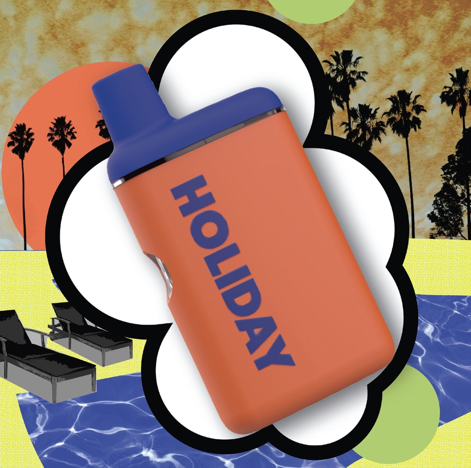 Photograph of product: Holiday | Leisure | Disposable Vape 1g