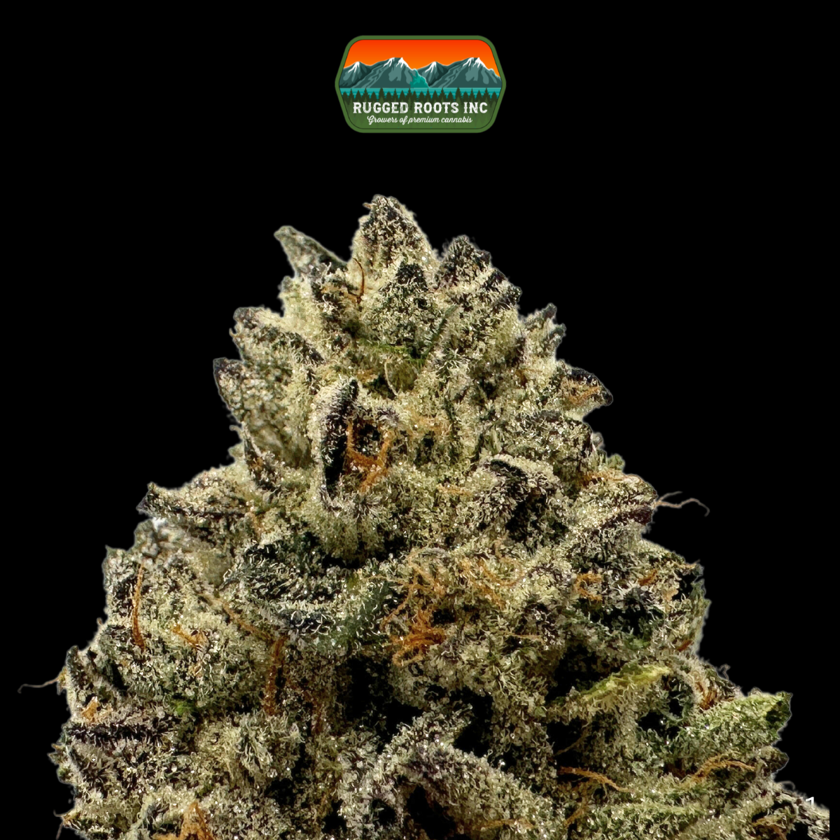 Photograph of product: Rugged Roots | Cranebow City 3.5g