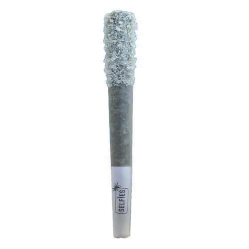 Photograph of product: Infused Pre-Roll | Maui Wowie