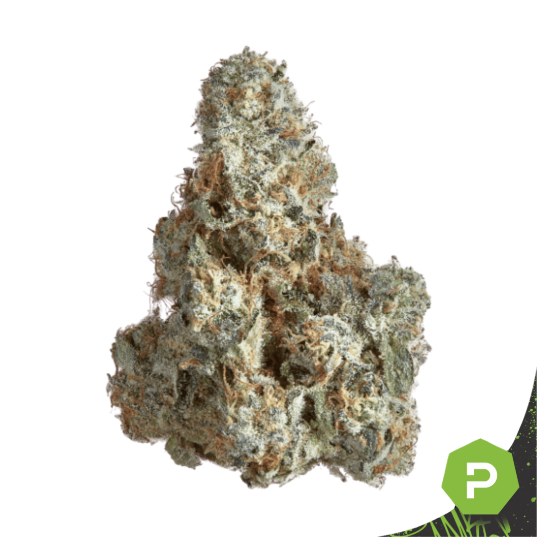 Photograph of product: Goldkine | Animal Tree - 1g