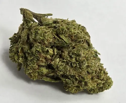 Photograph of product: Gorilla Glue