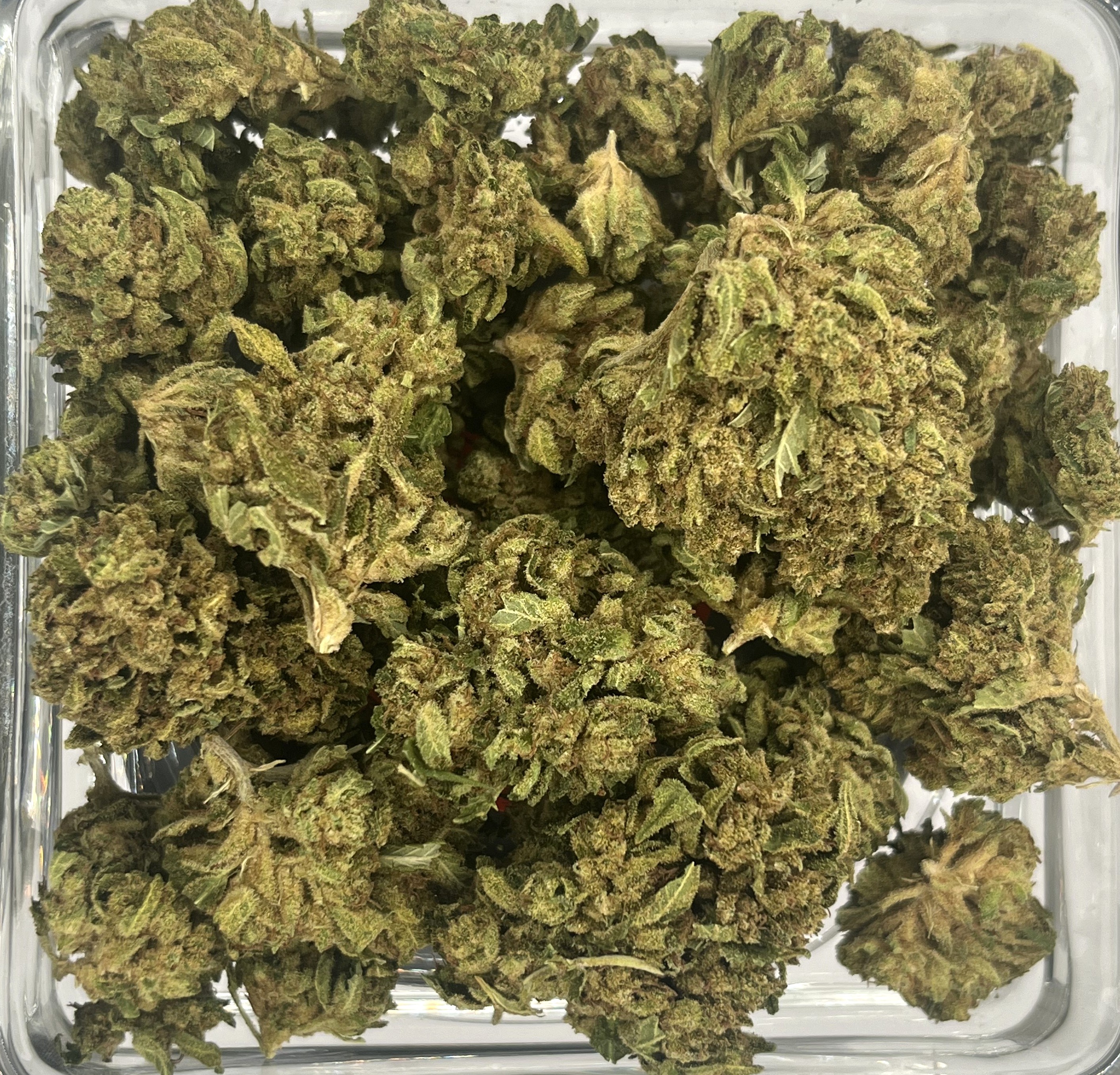 Photograph of product: Flower - Gorilla Glue #3 - 28g