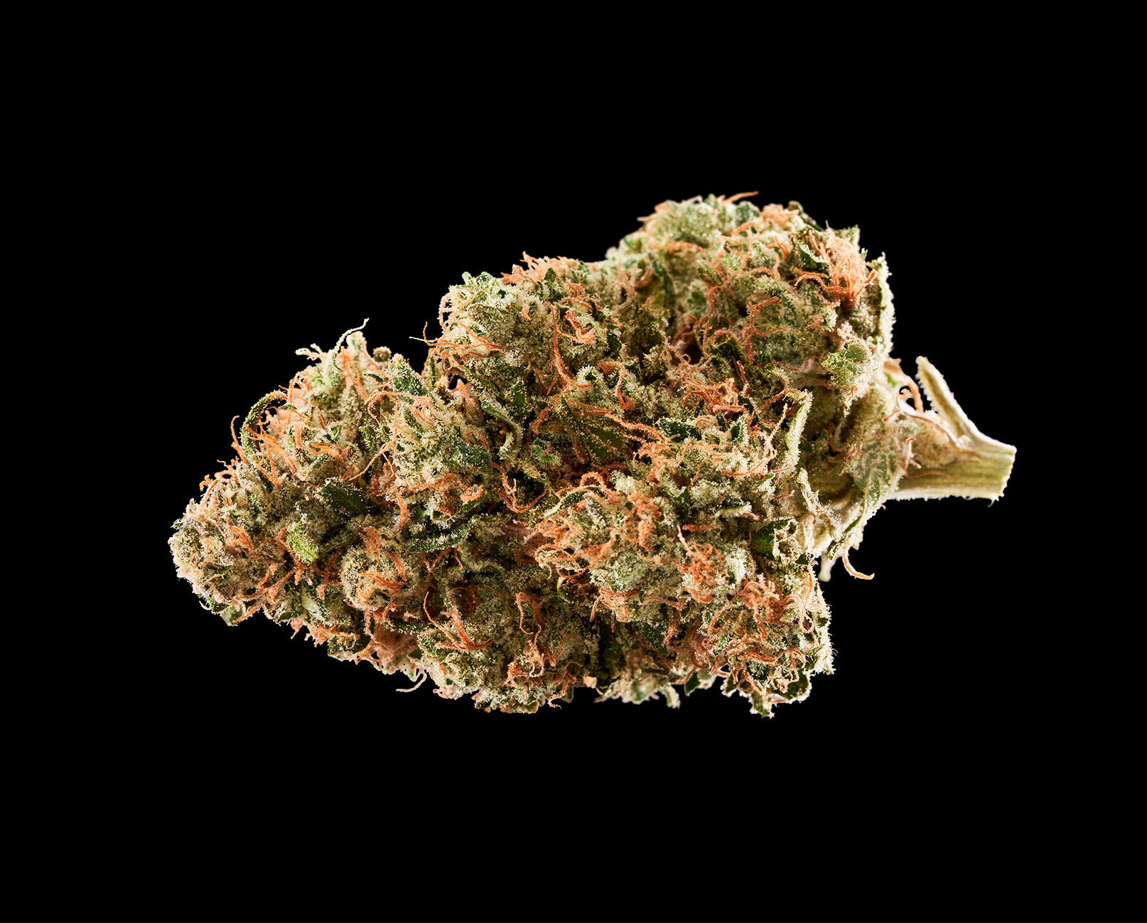 Photograph of product: Rythm - Sour Diesel - 14g - Smalls