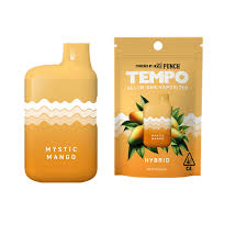 Photograph of product: TEMPO - MYSTIC MANGO