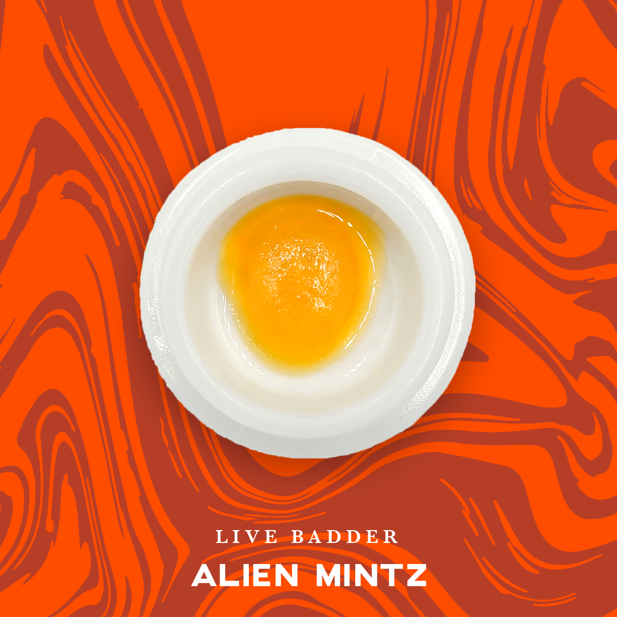Photograph of product: Vivid: Live Resin Concentrate | Alien Mintz | Badder | 1g