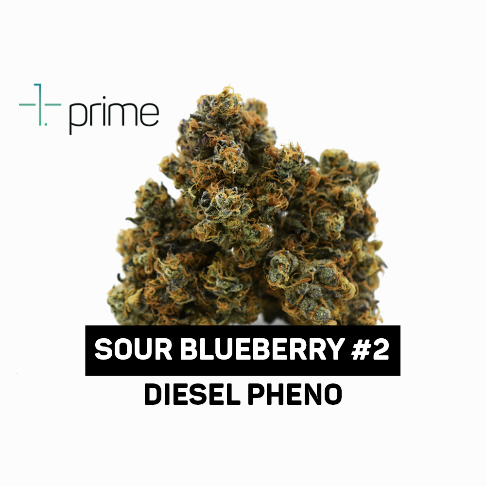 Photograph of product: Sour Blueberry #2 (Diesel Pheno) | 3.5g