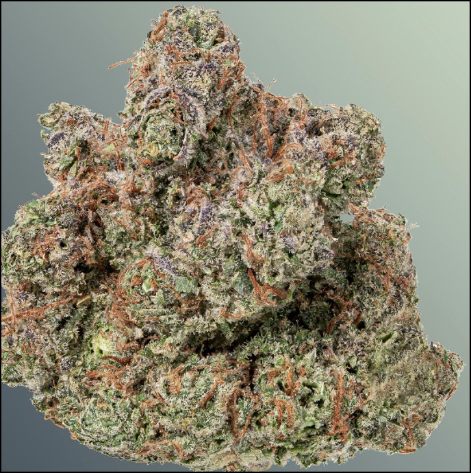 Photograph of product: iion | 3.5g Bud | Voodoo Child (H)