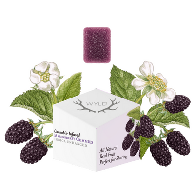 Photograph of product: Marionberry | Gummy 10-Pack