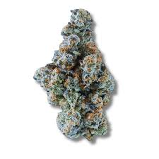 Photograph of product: Firebrand - Paul Morphy - 14g