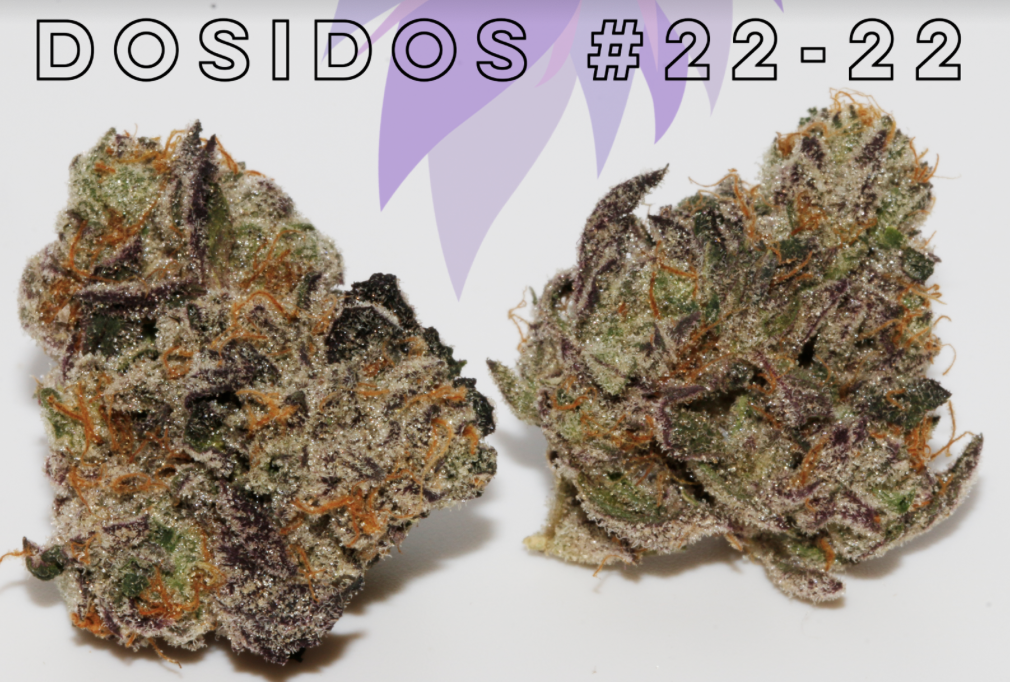 Photograph of product: Dosidos #22-22- 3.5g || Culta