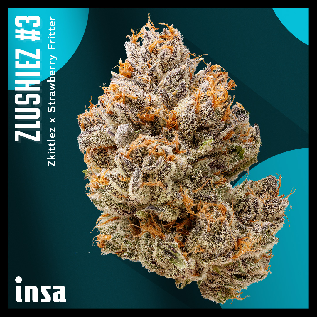 Photograph of product: 14g Large Pack Flower -Zlushiez #3