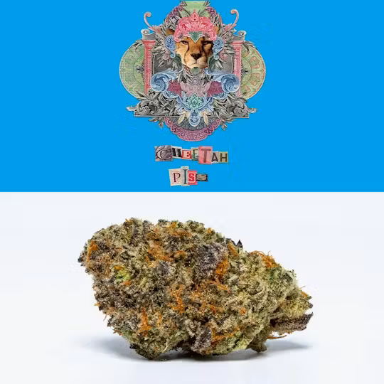 Photograph of product: Cookies Cheetah Piss Flower | 3.5g