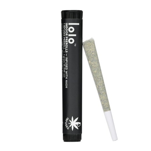 Photograph of product: KASHMIR X AFGHANI 1G INFUSED PREROLL