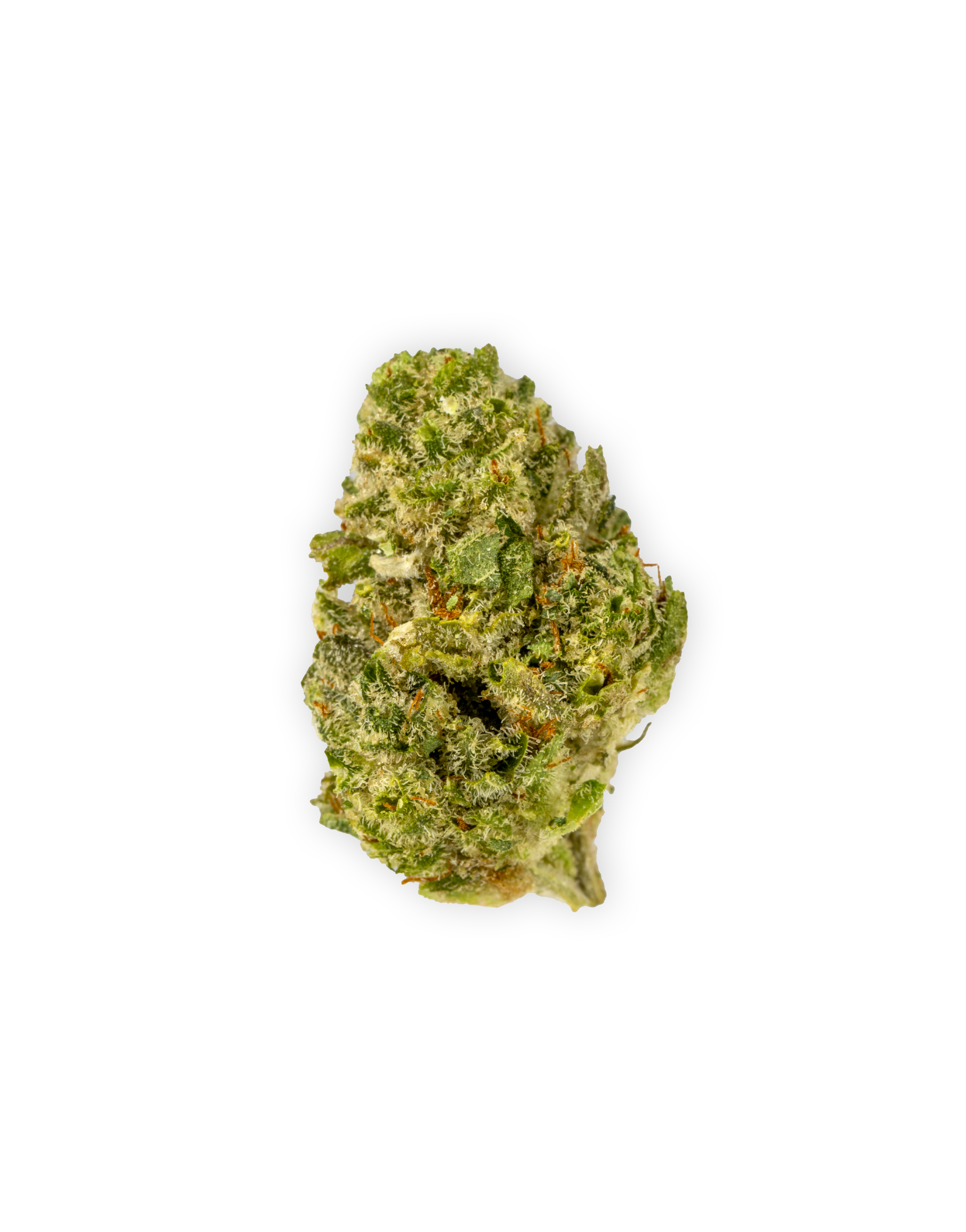 Photograph of product: GODZILLA GLUE | 3.5 g - 3.5g