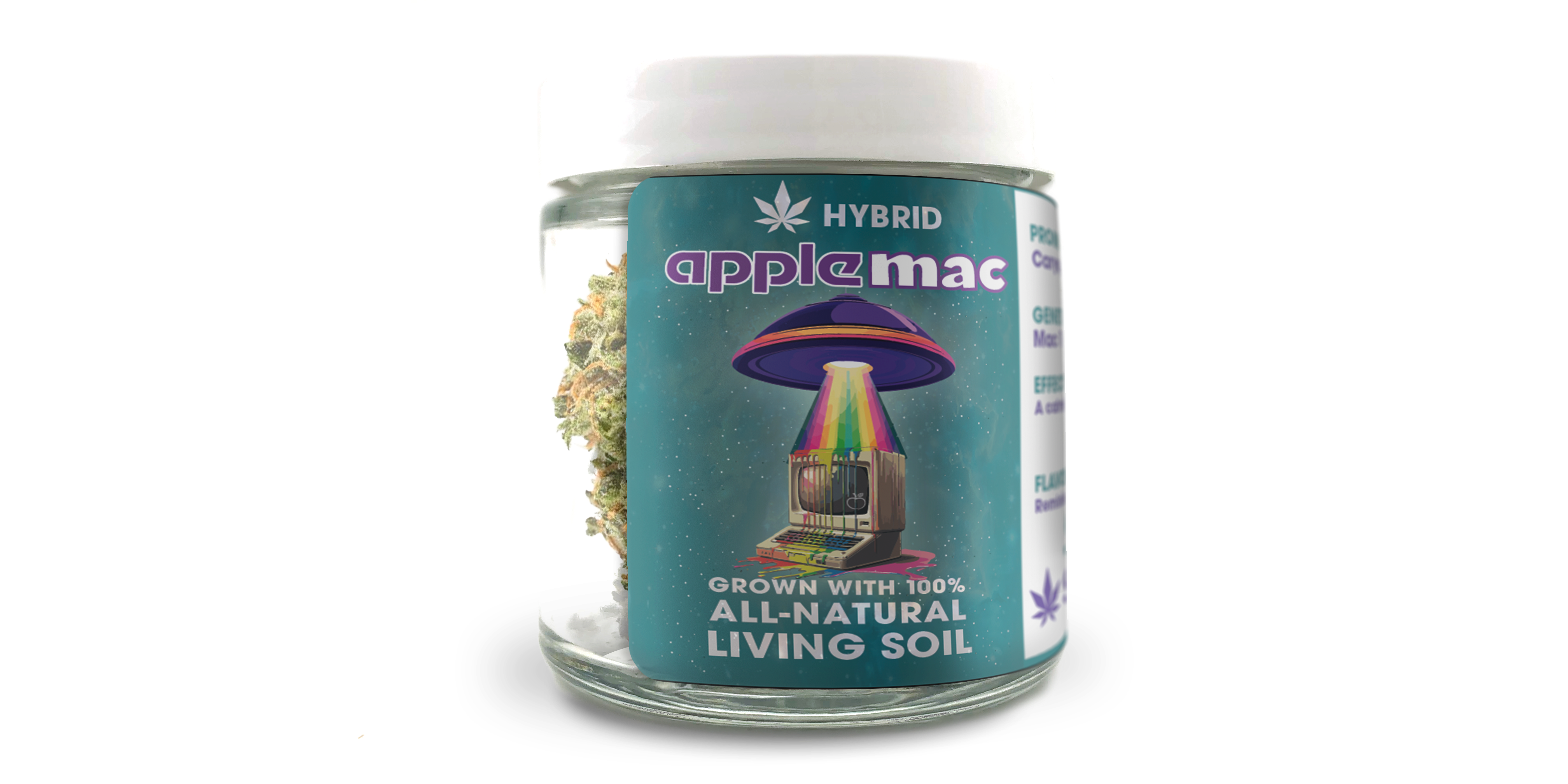 Photograph of product: Apple Mac - 14g