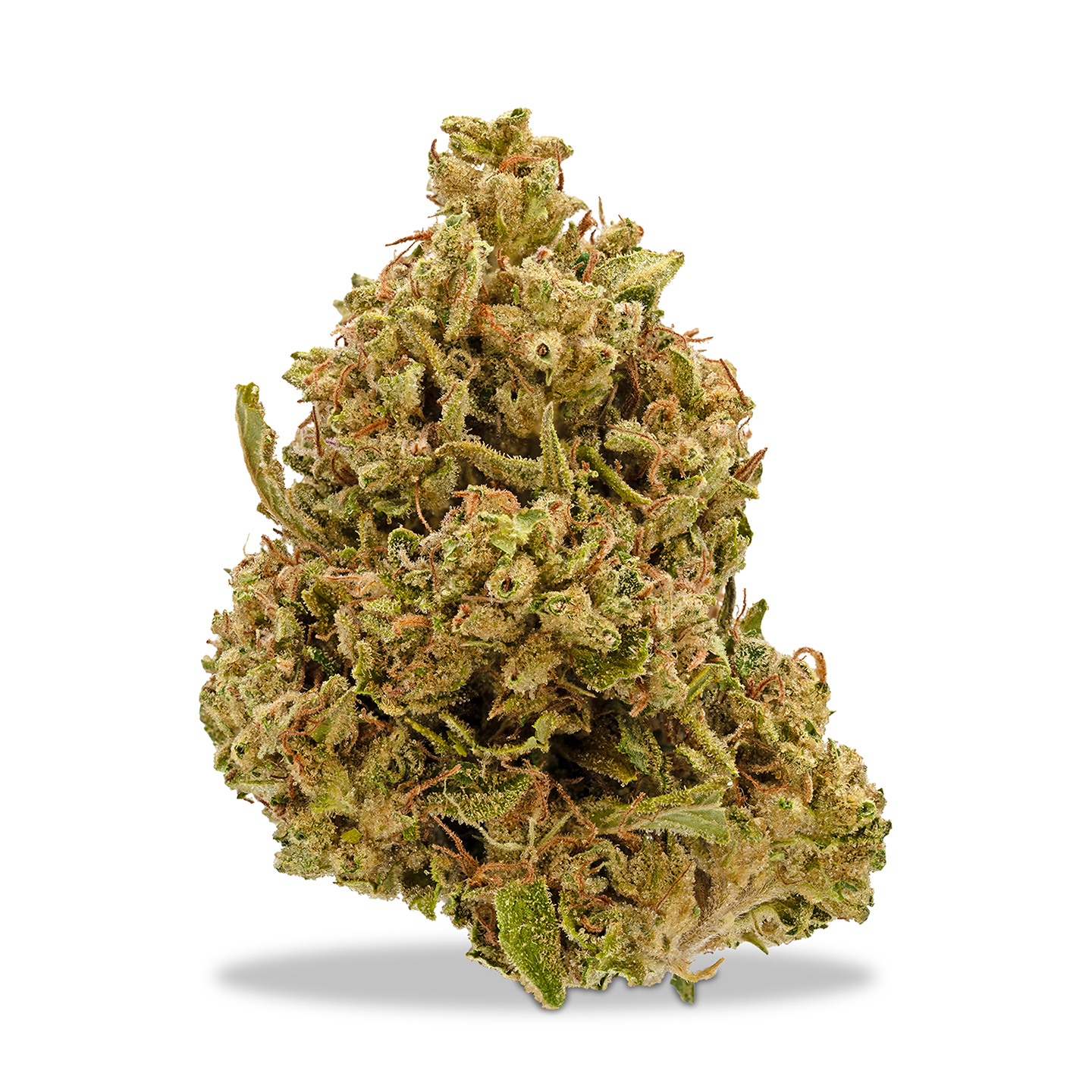 Photograph of product: Benson Arbor - Chew Toy #13 - 1g
