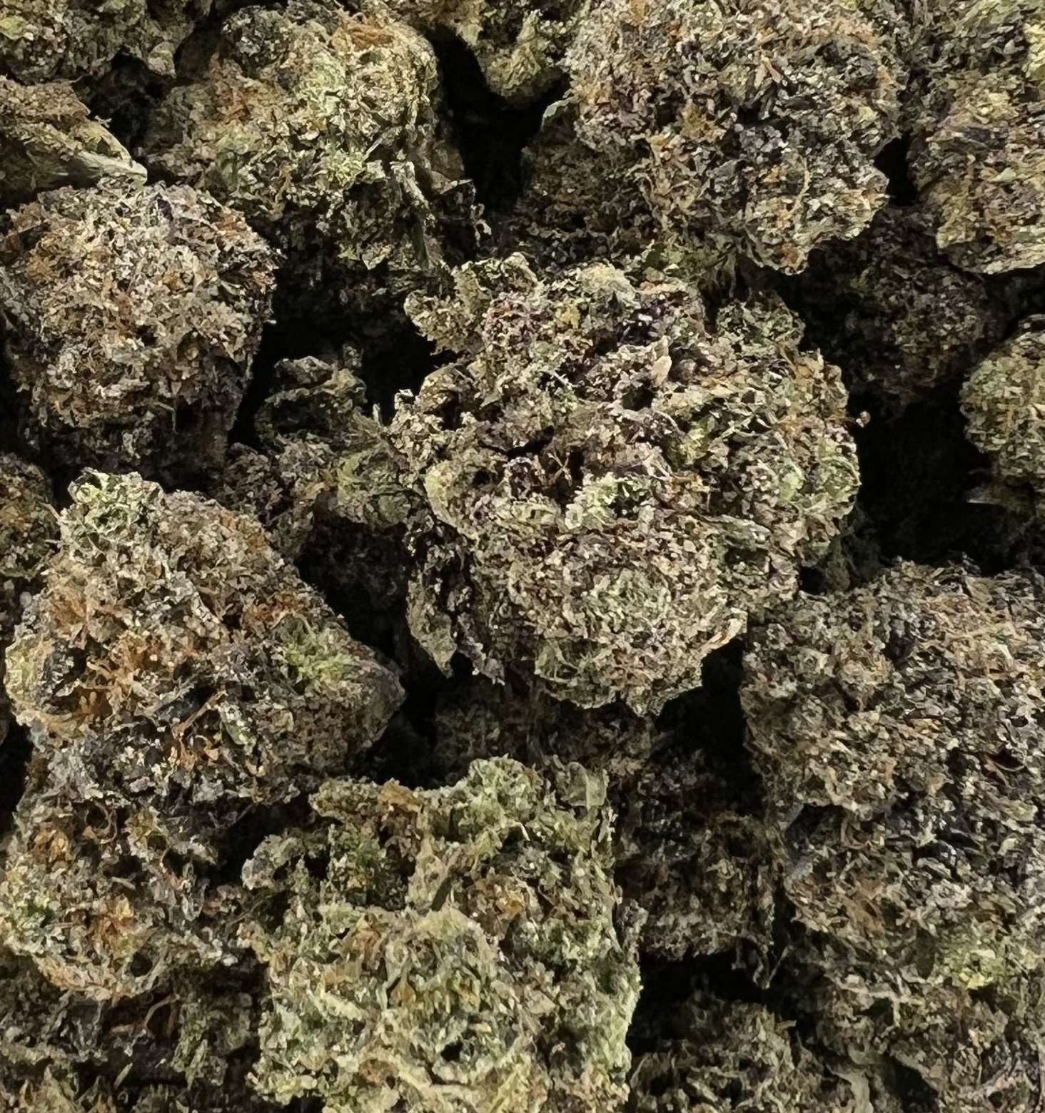 Photograph of product: Hi Oui'd - Flower - Black Cherry Warhead - 28g