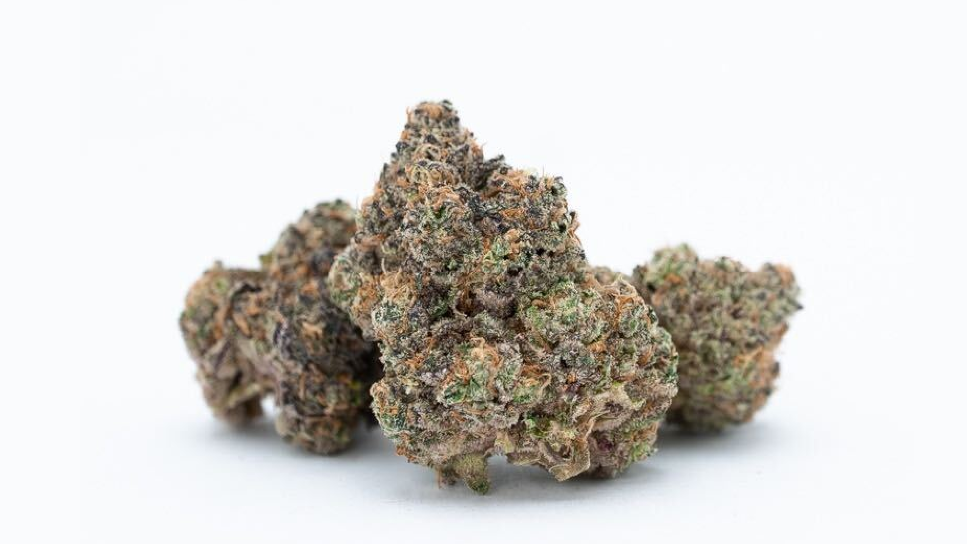 Photograph of product: Cherry Paloma - 2g